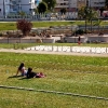 Parque María Zambrano